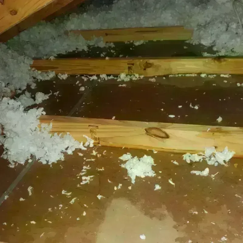 Attic Water Damage in Gretna, FL