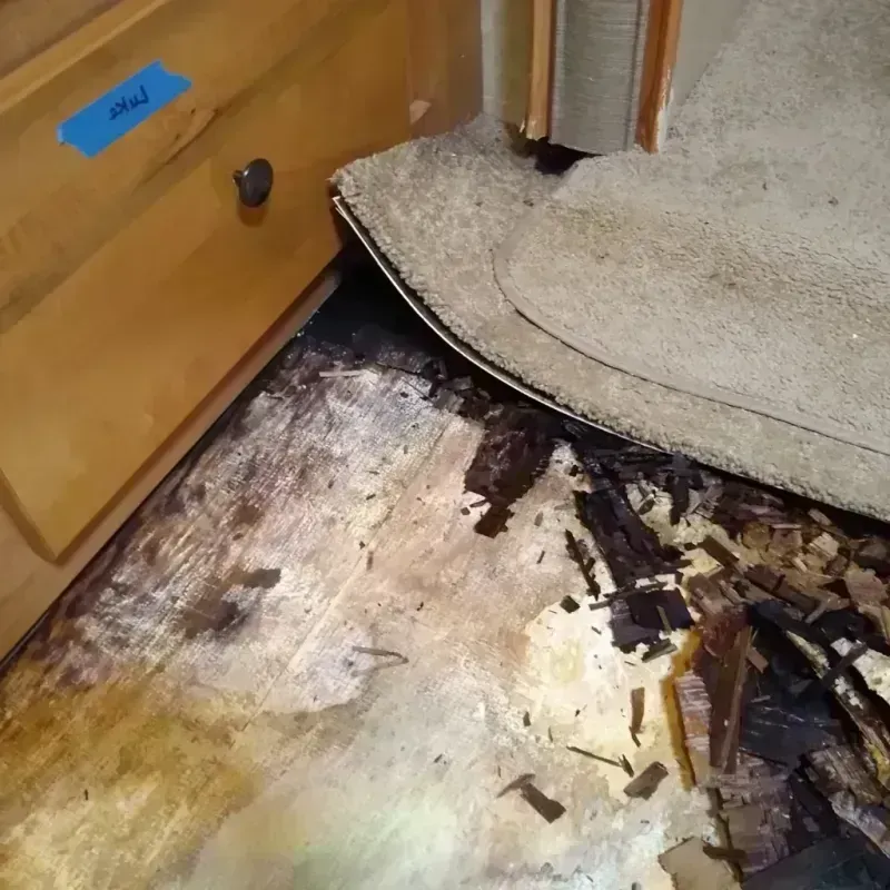 Wood Floor Water Damage in Gretna, FL